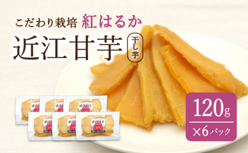 近江甘芋（干し芋）| いも さつまいも 紅はるか おやつ スイーツ  2344596 - 滋賀県米原市