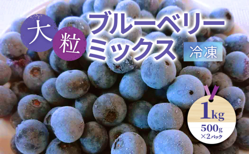 大粒ブルーベリーミックス（冷凍）1kg（500g×2パック）| ブルーベリー 果物 フルーツ 冷凍フルーツ ベリー類 2344598 - 滋賀県米原市