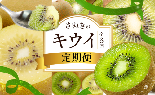讃岐のキウイ定期便（全3回）【さぬきゴールドキウイ】【さぬきキウイっこ 】【香緑キウイ】 2344633 - 香川県東かがわ市