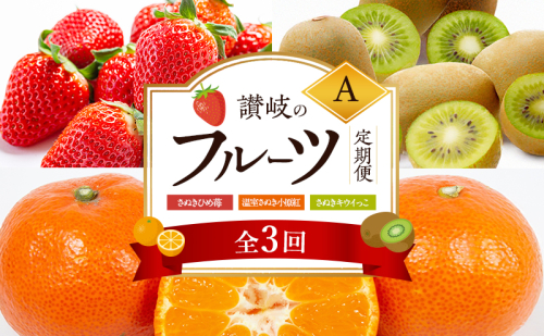 讃岐のフルーツ3回定期便【A】【さぬきひめ苺】【温室さぬき小原紅(紅みかん) 】【さぬきキウイっこ】 2344646 - 香川県東かがわ市