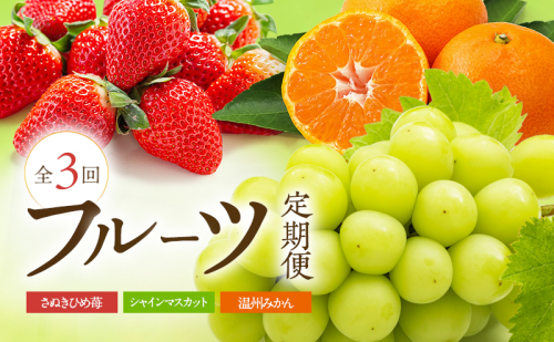 数量限定！讃岐のフルーツ定期便（全3回）【さぬきひめ苺】【温室シャインマスカット 】【温州みかん】 2344650 - 香川県東かがわ市