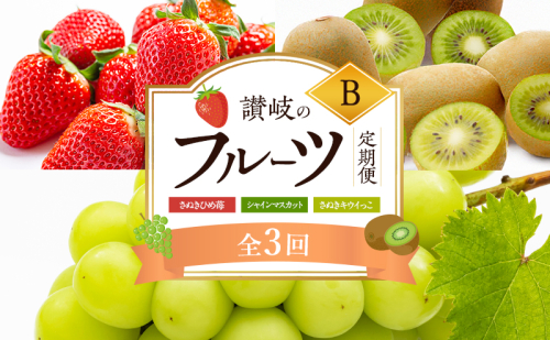 讃岐のフルーツ3回定期便【B】【さぬきひめ苺】【シャインマスカット】【さぬきキウイっこ】 2344652 - 香川県東かがわ市