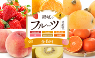 讃岐のフルーツ6回定期便【B】【さぬきひめ苺】【デコポン】【なつたより(びわ)】【桃】【さぬきゴールドキウイ】【小原紅(さぬき紅みかん)】