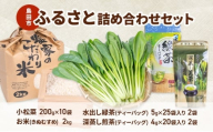 [№5695-2091]小松菜  お茶  お米 詰め合わせ(きぬむすめ)  セット2　野菜 やさい こまつな 旬 国産 茶 緑茶 煎茶 水出し 米 こめ コメ 産地直送 詰合せ 静岡県 島田市