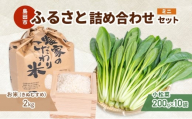 [№5695-2094]小松菜  お米(きぬむすめ)   詰め合わせ セット2　野菜 やさい こまつな 旬 国産 米 こめ コメ 産地直送 詰合せ 静岡県 島田市