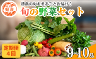 野菜 セット 9〜10品 定期便 4回 季節 旬 野菜 詰め合せ 国産 季節 旬 おまかせ 産地直送 春野菜 夏野菜 秋野菜 葉物 果物 果菜 根菜 冷蔵 野菜室 ダイエット 食 栄養食 加工品 カット野菜