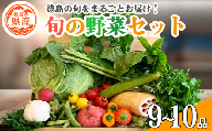 野菜 セット 9〜10品 単品 季節 旬 野菜 詰め合せ 国産 季節 旬 おまかせ 産地直送 春野菜 夏野菜 秋野菜 葉物 果物 果菜 根菜 冷蔵 野菜室 ダイエット 食 栄養食 加工品 カット野菜