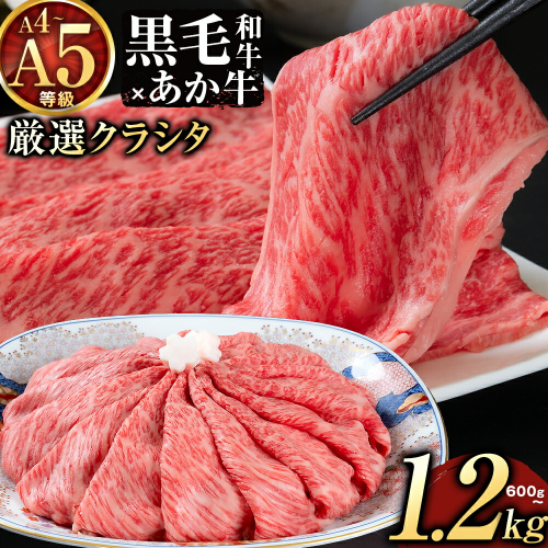 黒毛和牛 A4～A5等級 あか牛 クラシタ 食べ比べ 霜降り 赤身 すき焼き しゃぶしゃぶ 600g 1200g 数量限定 牛肉 冷凍 くまもと黒毛和牛 《10月上旬-12月末頃出荷》 冷凍庫 個別 以内 ブランド牛 1kg 以上 1.2kg 赤身 霜降り お歳暮 2344928 - 熊本県南阿蘇村