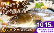 壱岐産　幻天然クエ　刺身・鍋加工　10kg～15kg《壱岐市》 【みやげ処 縁由】 [JBJ022]