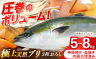 壱岐産　天然ブリ　3枚おろし　5kg～8kg《壱岐市》 【みやげ処 縁由】 [JBJ030]