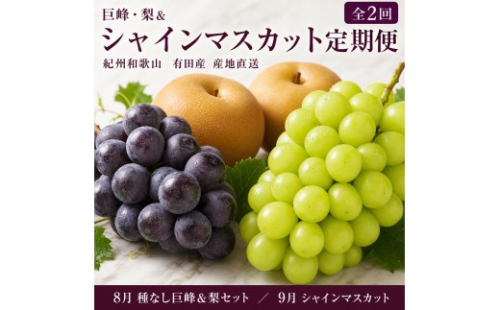 定期便 8・9月発送 紀州有田産旬のフルーツセット（種なし巨峰＆梨セット×計約2kg・シャインマスカット×約2kg） 2345060 - 和歌山県有田川町