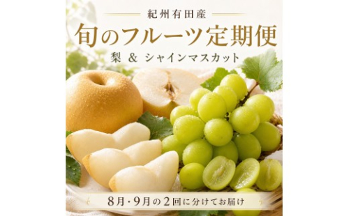 定期便 8・9月発送 紀州有田産旬のフルーツセット（梨×約2kg  化粧箱入・シャインマスカット×約2kg） 2345061 - 和歌山県有田川町
