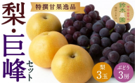 [先行予約] 鈴木農園 特撰甘果逸品 梨 ・ 巨峰 セット (3玉・3房) [2026年8月下旬〜9月上旬より順次発送予定] 完熟梨 なし ナシ 葡萄 ぶどう ブドウ 果物 くだもの フルーツ 果実 新鮮 フレッシュ 詰め合わせ 詰合せ お取り寄せ 福岡県 うきは市 冷蔵