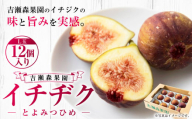 【先行予約】 吉瀬森果園 イチジク （とよみつひめ） L玉 12個入り 【2026年8月上旬～9月下旬より順次発送予定】 いちじく 果物 くだもの フルーツ 果実 オリジナル品種 ハウス栽培 ゆりかーご お取り寄せ 福岡県 うきは市 冷蔵