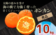 秀品 [ ポンカン 10kg ] 早期受付 2026年1月中旬より順次発送 安和ポンカン 贈答 用 ギフト 柑橘 椪柑 みかん フルーツ 果物 くだもの 期間限定 季節限定