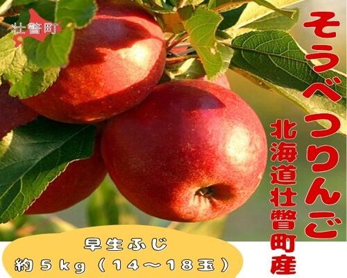 ファームアグリエイトのりんご「早生ふじ」 約5kg（14～18玉） SBTB012 2345679 - 北海道壮瞥町