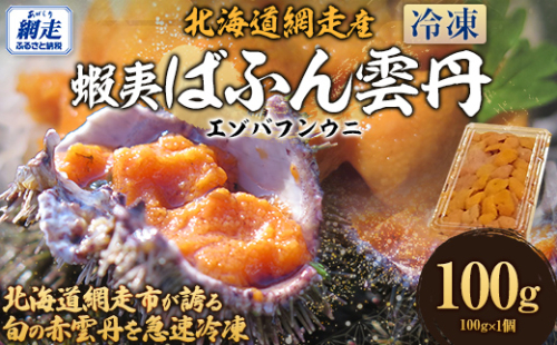 北海道網走市が誇る 蝦夷ばふん雲丹 ABJ021 2345870 - 北海道網走市
