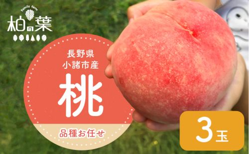 【2026年発送先行予約】 長野県小諸市産 朝採れ 特選大玉桃 3玉(約1kg)【Family farm 柏の葉】 2345991 - 長野県小諸市