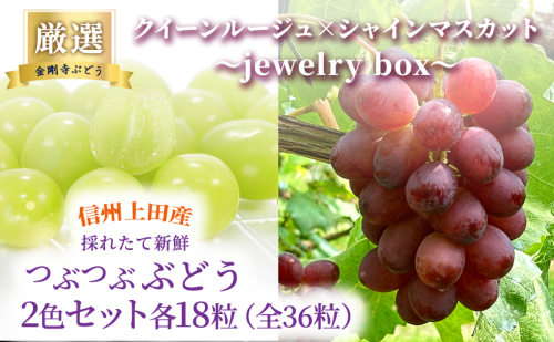 厳選！クイーンルージュ(R)×シャインマスカット jewelry box 信州上田産 金剛寺ぶどう 36粒 つぶつぶぶどう 2色 セット 詰め合わせ ぶどう マスカット フルーツ 旬の果物 長野 2346128 - 長野県上田市