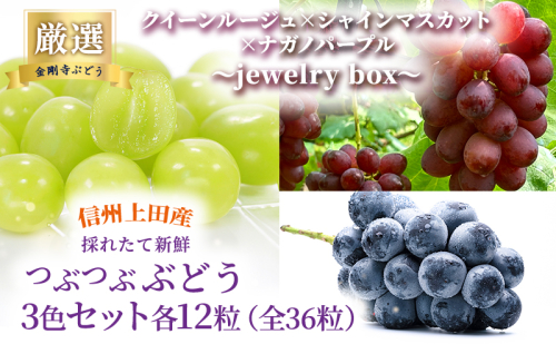 厳選！クイーンルージュ(R)×シャインマスカット×ナガノパープル jewelry box 信州上田産 金剛寺ぶどう 36粒 つぶつぶぶどう 3色 セット 詰め合わせ ぶどう マスカット フルーツ 旬の果物 長野 2346129 - 長野県上田市