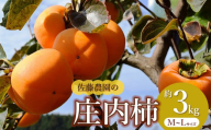 [令和8年産先行予約] 庄内柿 M〜L 約3kg 佐藤農園