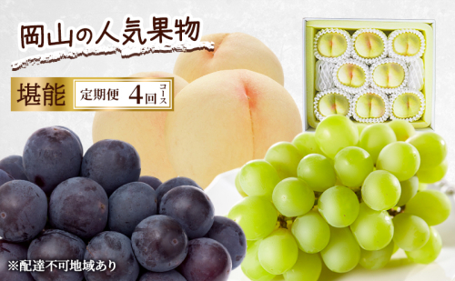 定期便 2026年 先行予約 岡山の人気果物 堪能 4回コース 清水白桃 桃 白桃 ぶどう ピオーネ シャインマスカット 赤磐市 2346385 - 岡山県赤磐市