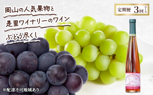 定期便 2026年 先行予約 岡山の人気果物と是里ワイナリーのワイン ぶどう尽くし 3回コース ぶどう ピオーネ ワイン シャインマスカット 晴王 赤磐市 2346388 - 岡山県赤磐市