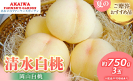 桃 2026年 先行予約 清水 白桃 約750g 3玉 もも 岡山県 赤磐市産 フルーツ 果物 あかいわファーマーズガーデン 果物類
