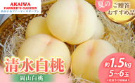 桃 2026年 先行予約 清水 白桃 約1.5kg 5～6玉 もも 岡山県 赤磐市産 フルーツ 果物 あかいわファーマーズガーデン