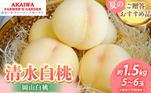 桃 2026年 先行予約 清水 白桃 約1.5kg 5～6玉 もも 岡山県 赤磐市産 フルーツ 果物 あかいわファーマーズガーデン 2346395 - 岡山県赤磐市