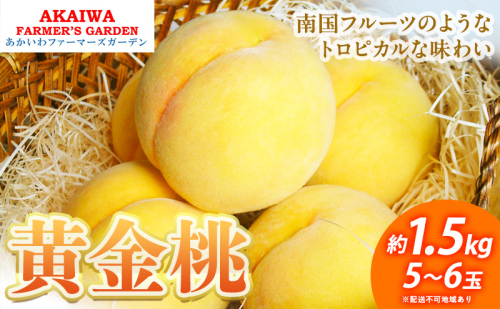 桃 2026年 先行予約 黄金桃 約1.5kg 5～6玉もも 岡山県 赤磐市産 フルーツ 果物 あかいわファーマーズガーデン 2346404 - 岡山県赤磐市