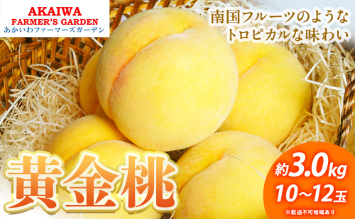 桃 2026年 先行予約 黄金桃 約3.0kg 10～12玉 もも 岡山県 赤磐市産 フルーツ 果物 あかいわファーマーズガーデン 果物類 2346405 - 岡山県赤磐市