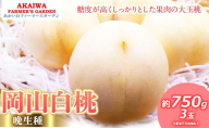 桃 2026年 先行予約 岡山の 白桃 (晩生種) 約750g 3玉 もも 岡山県 赤磐市産 フルーツ 果物 あかいわファーマーズガーデン デザート 旬の果物 旬のフルーツ