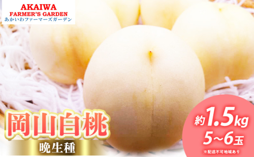 桃 2026年 先行予約 岡山の 白桃 (晩生種) 約1.5kg 5～6玉 もも 岡山県 赤磐市産 フルーツ 果物 あかいわファーマーズガーデン 2346410 - 岡山県赤磐市