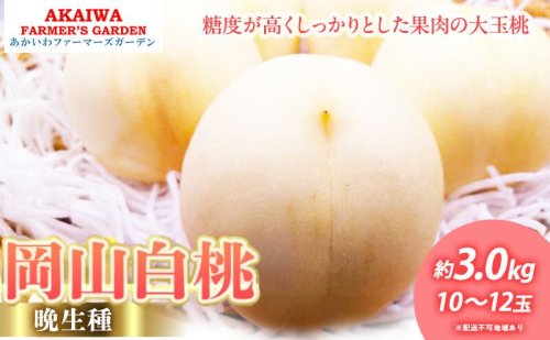 桃 2026年 先行予約 岡山の 白桃 (晩生種) 約3.0kg 10～12玉 もも 岡山県 赤磐市産 フルーツ 果物 あかいわファーマーズガーデン デザート 旬の果物 旬のフルーツ 2346411 - 岡山県赤磐市