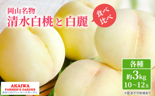 桃 2026年 先行予約 定期便 岡山名物 白桃 食べ比べ ！ 清水白桃 と 白麗 各約3.0kg 10～12玉 あかいわファーマーズガーデン 果物 2346412 - 岡山県赤磐市