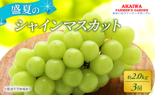 ぶどう 2026年 先行予約 シャインマスカット 約2.0kg 3房 盛夏 葡萄 岡山県 赤磐市産 フルーツ 果物 あかいわファーマーズガーデン 果物類 2346417 - 岡山県赤磐市