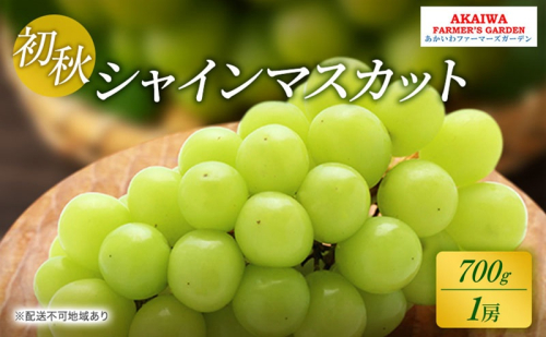 ぶどう 2026年 先行予約 シャインマスカット 約700g 1房 初秋 葡萄 岡山県 赤磐市産 フルーツ 果物 あかいわファーマーズガーデン 果物類 2346418 - 岡山県赤磐市