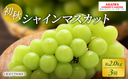 ぶどう 2026年 先行予約 シャインマスカット 約2.0kg 3房 初秋 葡萄 岡山県 赤磐市産 フルーツ 果物 あかいわファーマーズガーデン 果物類 2346420 - 岡山県赤磐市