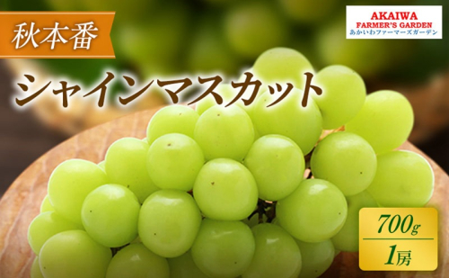 ぶどう 2026年 先行予約 シャインマスカット 約700g 1房 秋本番 葡萄 岡山県 赤磐市産 フルーツ 果物 果物類 2346421 - 岡山県赤磐市