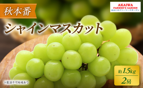 ぶどう 2026年 先行予約 シャインマスカット 約1.5kg 2房 秋本番 葡萄 岡山県 赤磐市産 フルーツ 果物 果物類 2346422 - 岡山県赤磐市