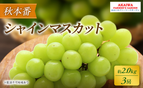 ぶどう 2026年 先行予約 シャインマスカット 約2.0kg 3房 秋本番 葡萄 岡山県 赤磐市産 フルーツ 果物 果物類 2346423 - 岡山県赤磐市