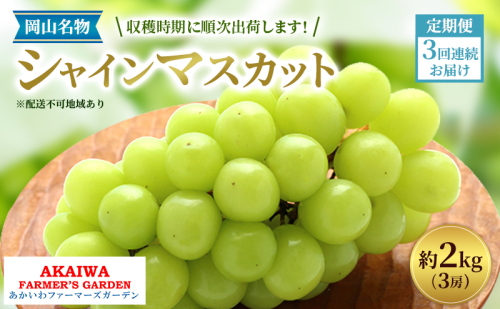 ぶどう 2026年 先行予約 定期便 岡山名産 シャインマスカット 3房 (約2.0kg) 3回連続お届け！ 葡萄 岡山県 赤磐市産 フルーツ 果物 あかいわファーマーズガーデン 2346438 - 岡山県赤磐市