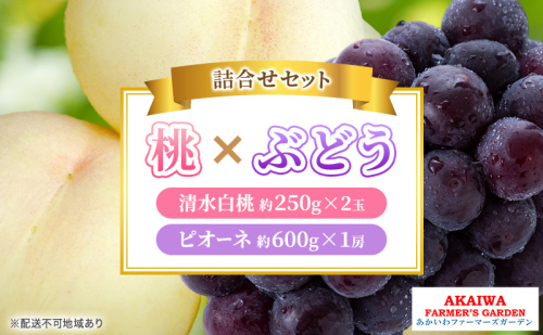 桃 ぶどう 詰合せ 2026年 先行予約 清水 白桃 2玉（1玉250g以上） ニュー ピオーネ 1房 約600g 岡山県 赤磐市産 フルーツ 果物 あかいわファーマーズガーデン 2346439 - 岡山県赤磐市