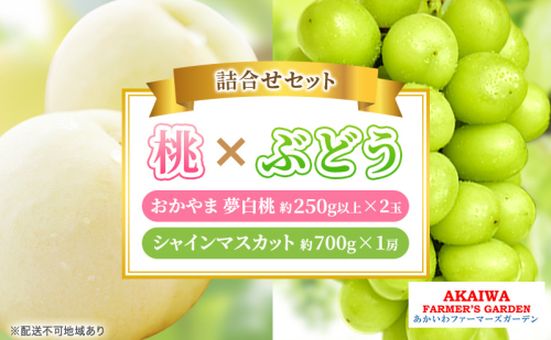 桃 ぶどう 詰合せ 2026年 先行予約 おかやま 夢 白桃 2玉（1玉250g以上） シャイン マスカット 1房 約700g 岡山県 赤磐市産 フルーツ 果物 あかいわファーマーズガーデン 2346441 - 岡山県赤磐市