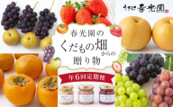 【年6回定期便】春光園のくだもの畑からの贈り物 （いちご ／ ぶどう ／ 梨 ／ 柿 ／ フルーツバター） 【2026年1月上旬～11月下旬より順次発送予定】 苺 イチゴ ブドウ 葡萄 なし ナシ かき カキ 季節のフルーツ 旬 福岡県 うきは市 常温 冷蔵