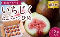 【先行予約】柿屋うちやま いちじく とよみつひめ 12個入り 【2026年7月下旬～9月上旬より順次発送予定】 無花果 イチジク くだもの 果物 フルーツ 果実 福岡県 うきは市 冷蔵
