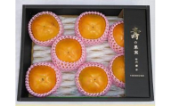 甘柿　太秋柿・ 輝太郎柿 詰合せ 5L×7個入（2.5kg以上） 化粧箱入り【2026年10月15日頃より発送】