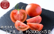 ＜糖度8度以上＞あま～いトマト「トマ王 潮」(約300g×5袋)【1087105】