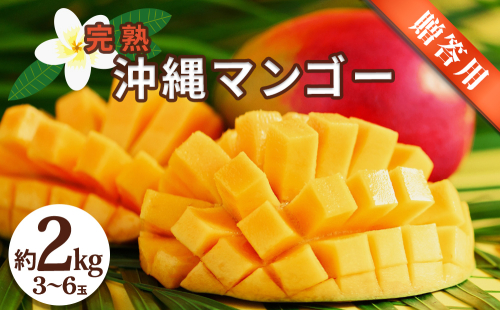 沖縄県産 贈答用マンゴー 2kg【 先行予約 2026年発送 】 2347366 - 沖縄県うるま市